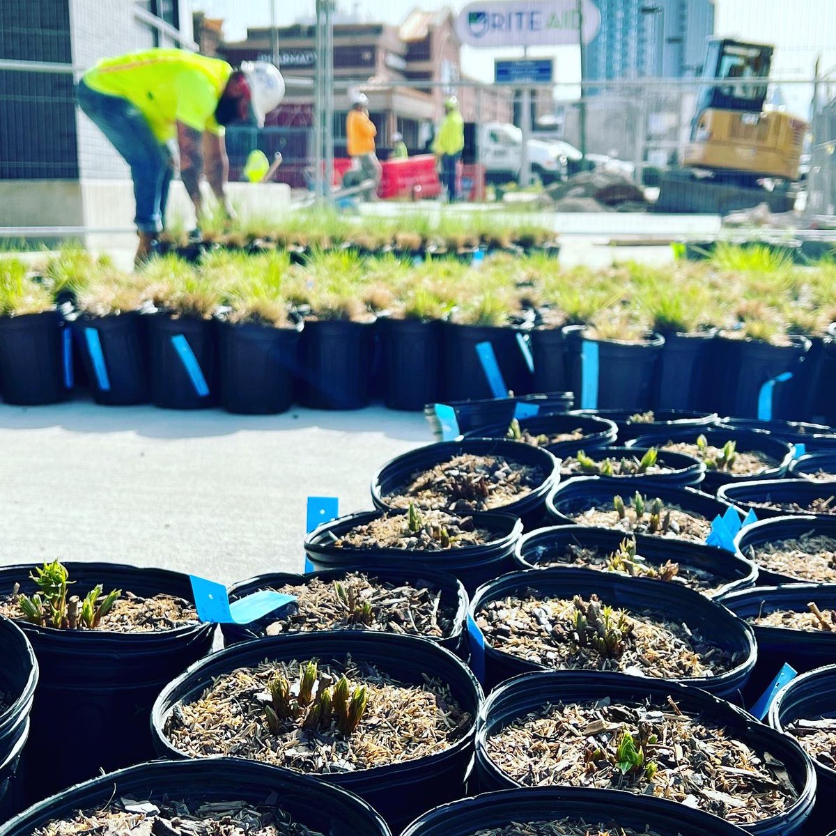 University Place tweet media