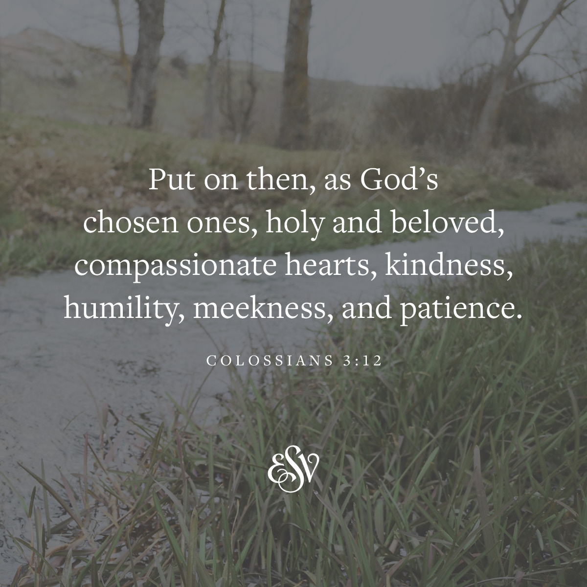 crossway's tweet photo. "Put on then, as God's chosen ones, holy and beloved, compassionate hearts, kindness, humility, meekness, and patience."
—Colossians 3:12, https://t.co/PKwMaugyaq

#ESV #Bible #VerseoftheDay #Colossians https://t.co/rQiOzAg2P3
