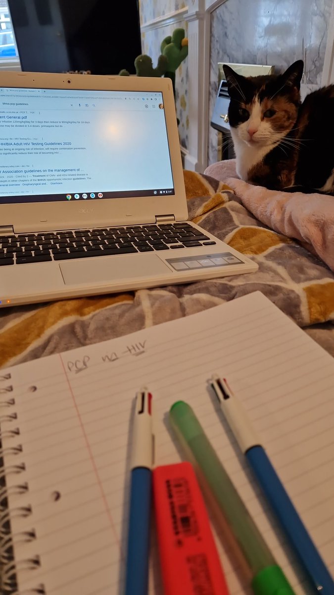 The Niamhmare Before Christmas 🎃 (she/her) tweet media