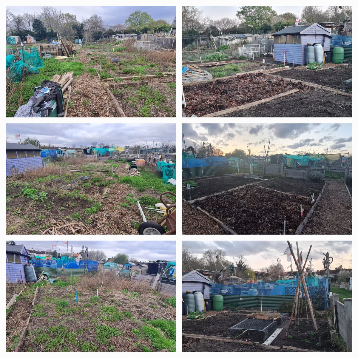 Look what I’ve been helping my lovely sister do to her new allotment! Sadly didn’t find any Easter eggs whilst digging! Knackered! #allotment