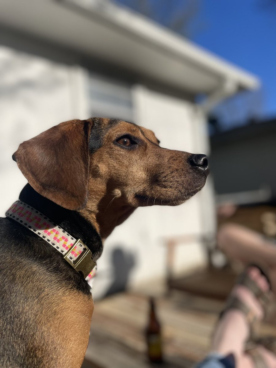 Bailey Vassalli tweet media