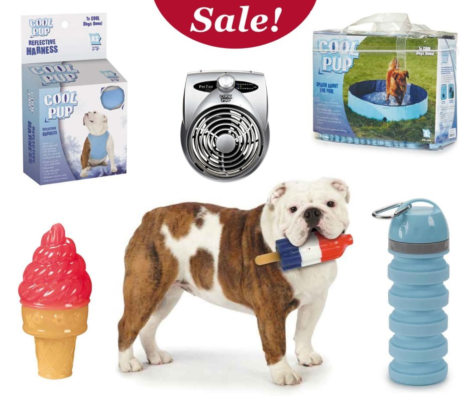 PetedgeDS's tweet photo. Limited Time: Save up to 30% on select 𝗖𝗼𝗼𝗹 𝗣𝘂𝗽 products! 
Shop now: https://t.co/zKdALSq6cI https://t.co/JreVTGeHv4