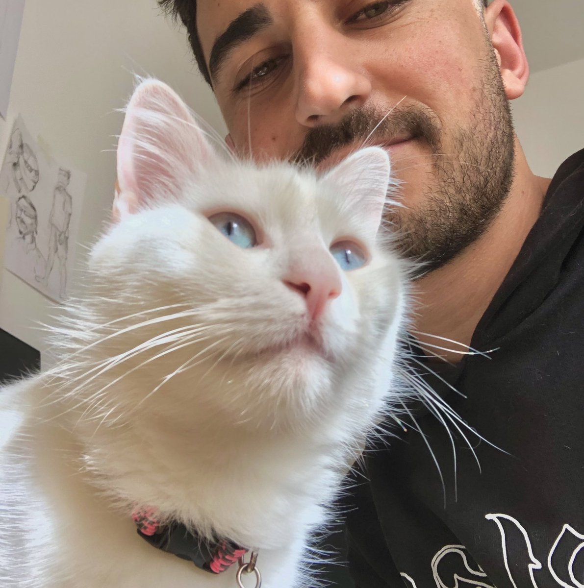 alyushamen1's tweet photo. Kediyle çekicez fotografı dedik Erkan Baş ile çekmişiz.. lale devri nasıl miyavlandıysa sülale… şaka şaka https://t.co/1I2jfL7YBB