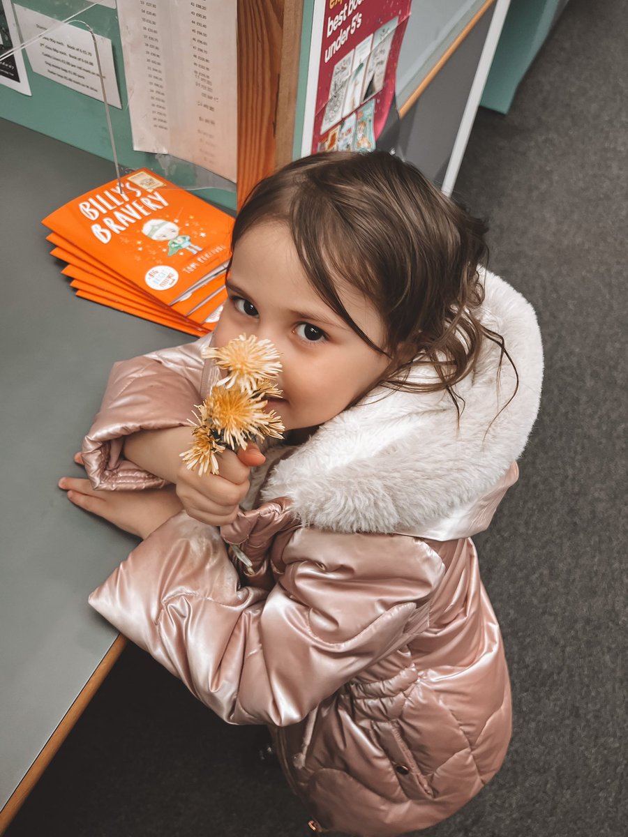 The Wheeler Girls tweet media