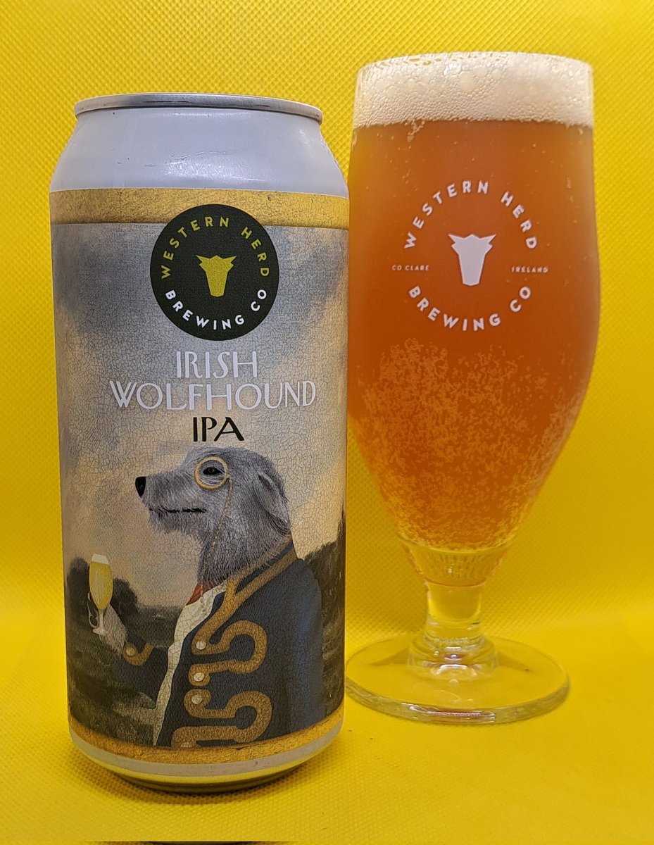 Here we go folks. The Irish Wolfhound TIPA is in cans and live online. 
Coming in at a hopping 10.5%, bursting with Columbus, Simcoe, Strata, Amarillo, Chinook and Nelson Sauvin, if you love hops, you'll love this one.

#justbrewed #craftbeer #Irishcraftbeer #Irishbeer #tripleIPA