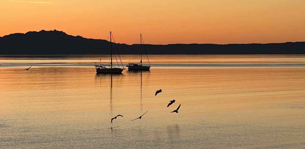 kmacphersonaa's tweet photo. Loreto morning https://t.co/rcU1DItNKn