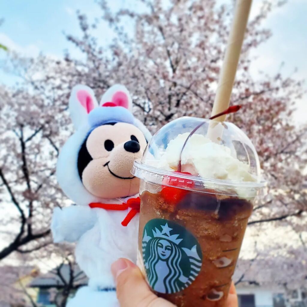 taro66040754's tweet photo. 『ミッキーさんとフラペチーノ』

美味しい(´･ω･｀)

#ぬいもーず
#ぬい撮り
#ぬいどり
#ぬいぐるみ
#ディズニー
#Disney
#ミッキー
#フラペチーノ
#コーラフラペチーノ
#桜
#サクラ https://t.co/y9nchvu3qY
