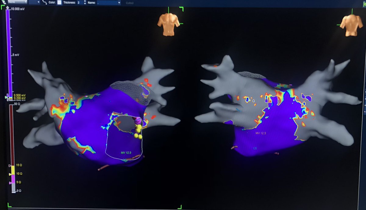 javad mikaeili tweet media
