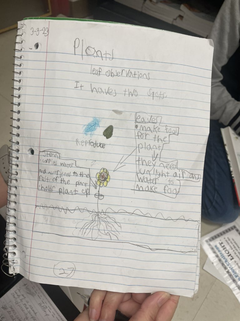 Melissa Triebwasser tweet media