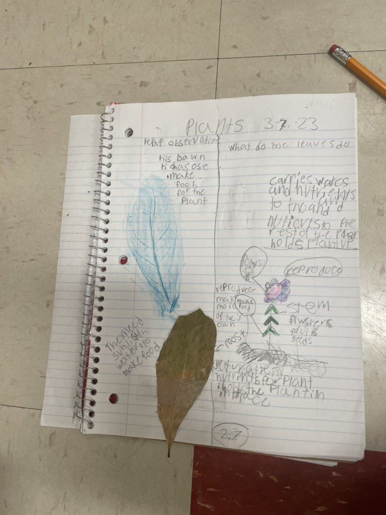 Melissa Triebwasser tweet media