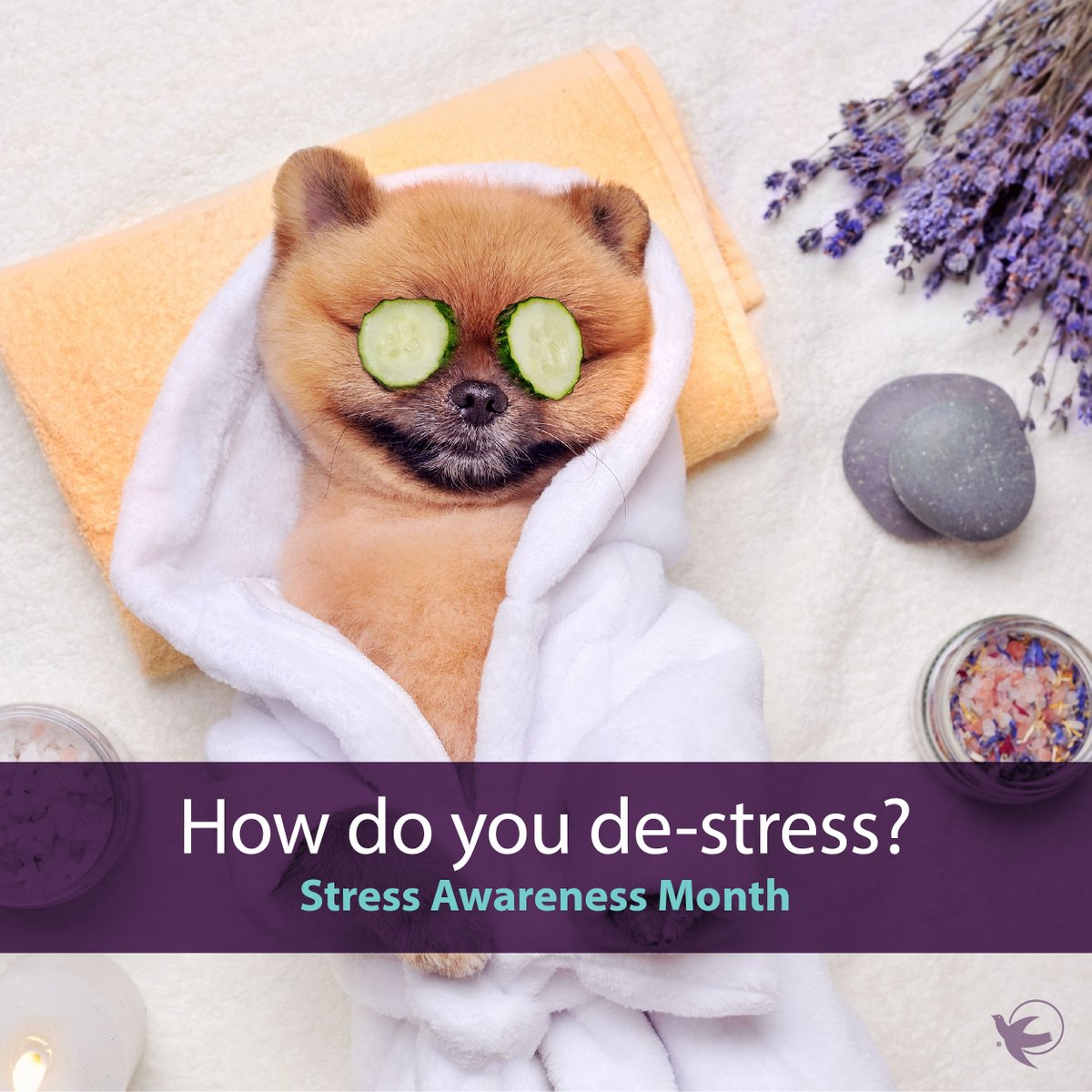 AngelsofRI's tweet photo. It's Stress Awareness Month 💆‍♀️! 

Let's come together and destress 🧘‍♂️ by taking a break, meditating, or just enjoying some quality time with friends and family

#StressAwarenessMonth  #TakeABreak #VisitingAngels #VisitingAngelsofRI #CNA #caregiver #homecare https://t.co/JvsCGOYD9v