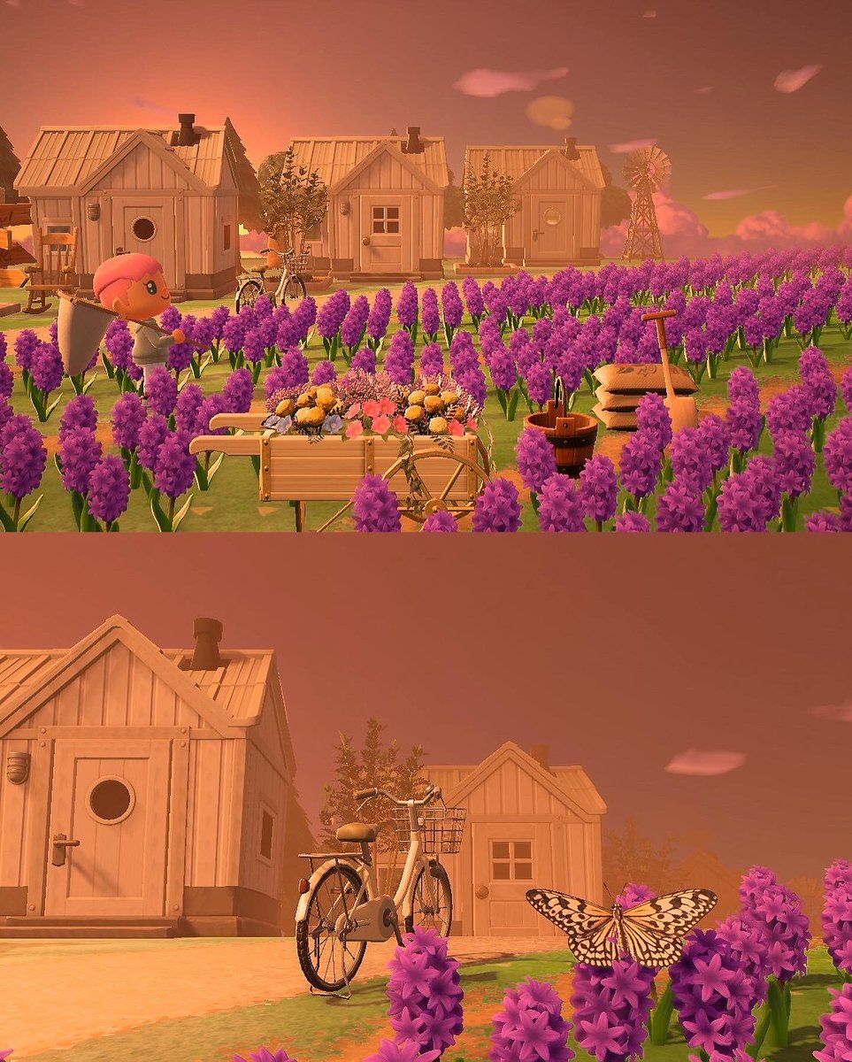 Ready to catch some butterflies