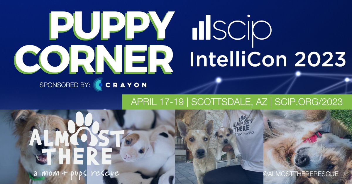 Don't miss the SCIP #IntelliCon2023 Puppy Corner! Thanks to the awesome support of <a href="/Crayon/">Crayon</a>, we're excited to support local non-profit Almost There Rescue and host a "pup-working" time where you can network with your peers and help socialize puppies! scip.org/page/intellico…
