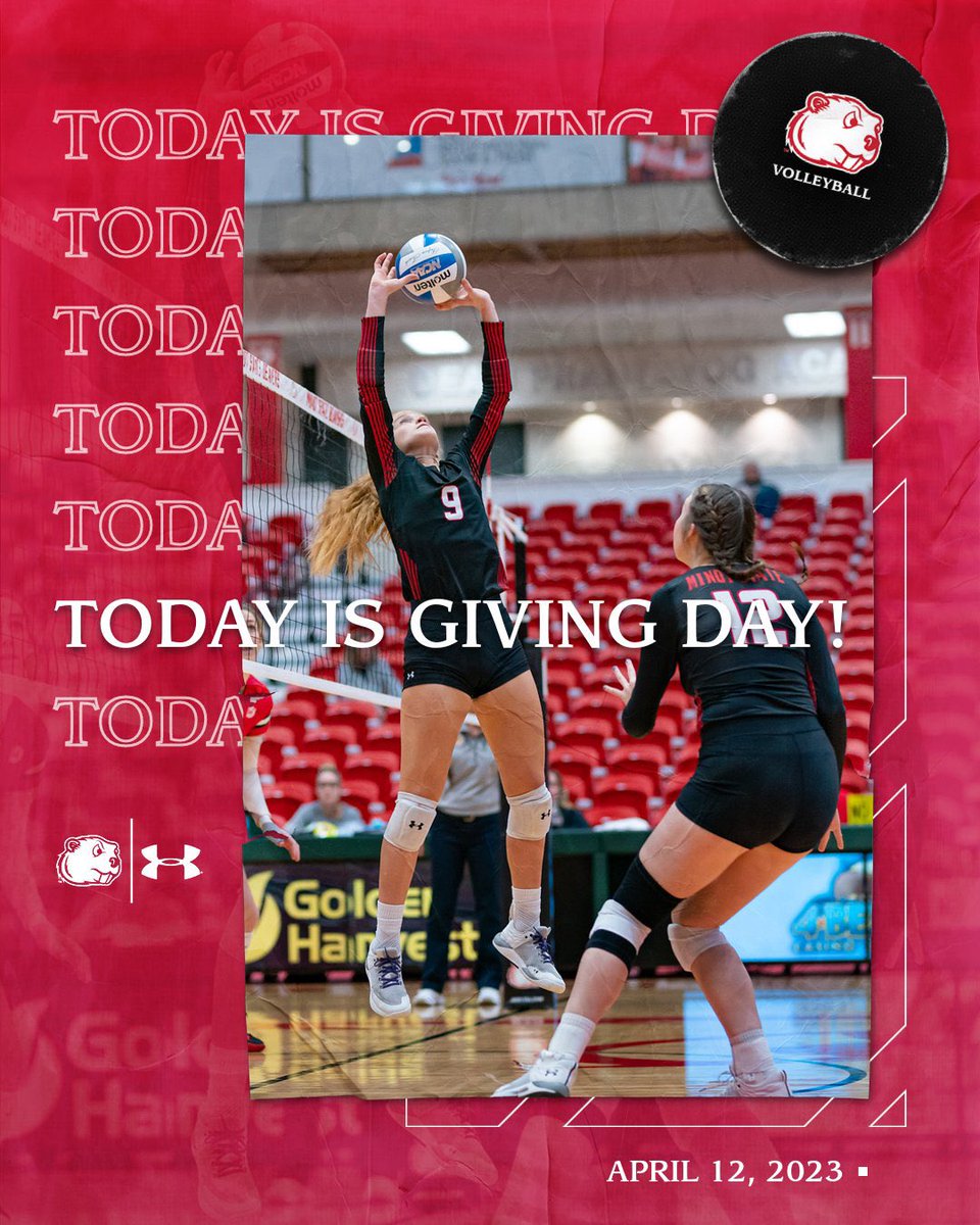 Minot State Volleyball tweet media