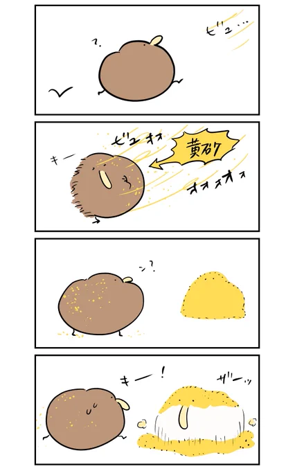 黄砂にまみれるキーウィ 
