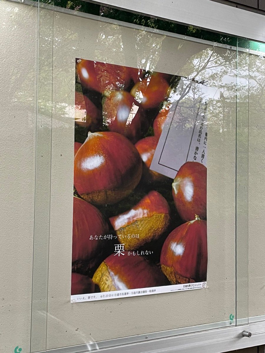 nisshinvote's tweet photo. 【学内掲示開始】

昨日印刷した投栗ポスターが学内に掲示されていました！
学生に向けて日進投票プロジェクトや選挙があることを周知すると共に、少しでも多くの学生に見てもらって前向きに投票に行ってもらいたいですね🙋🏻🌟

#日進市 #統一地方選挙 https://t.co/iJwdVpurLb