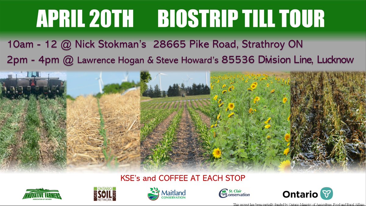 CFFOnt's tweet photo. Next week, visit two farms for a field day exploring biostrip till! This innovative yet relatively simple cropping system increases economic value and decreases environmental footprint of cropping. All are welcome!
#ChristianFarmers #OntAg #BiostripTill https://t.co/jpWHTGmqv9