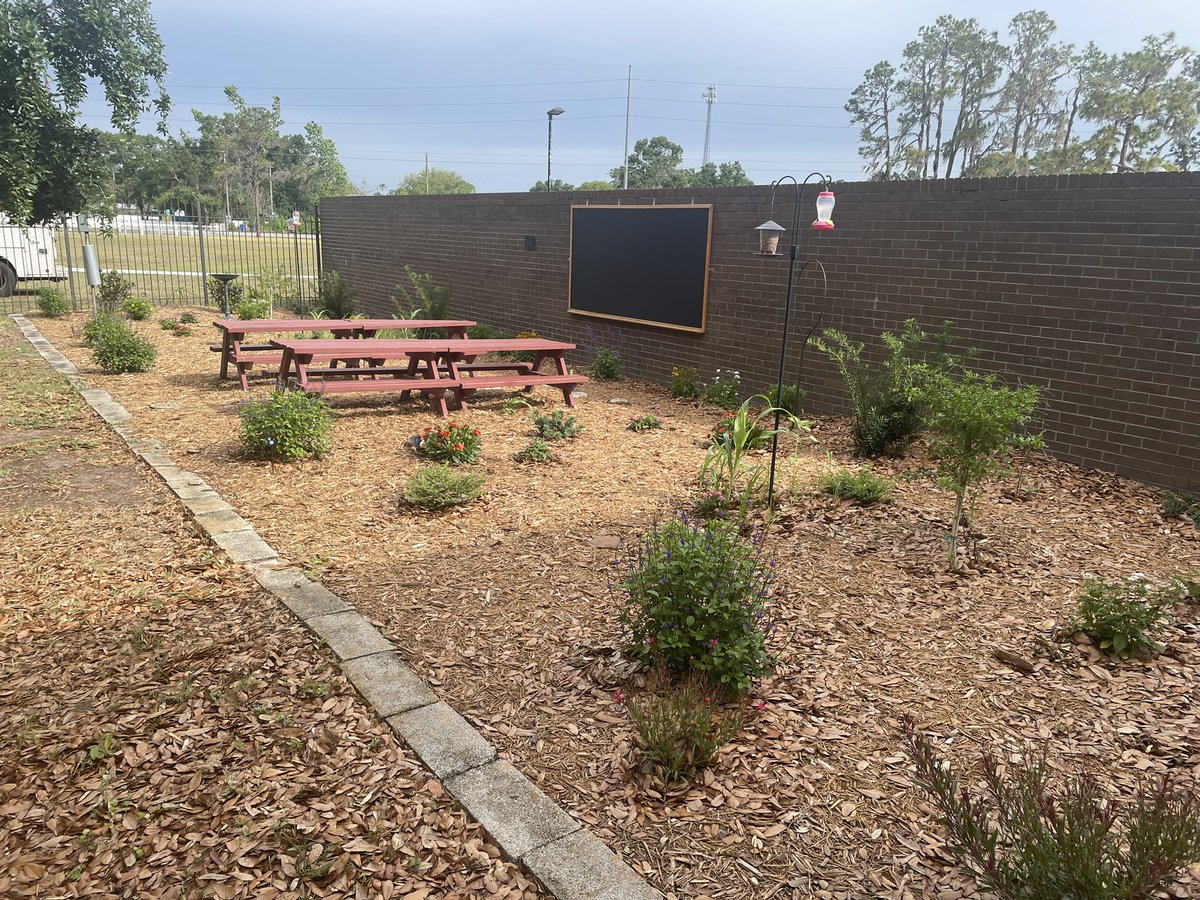 Melissa Triebwasser tweet media