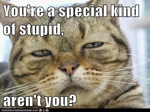 Woke 👁 Slava Ukraini! 🇺🇦✊ tweet media