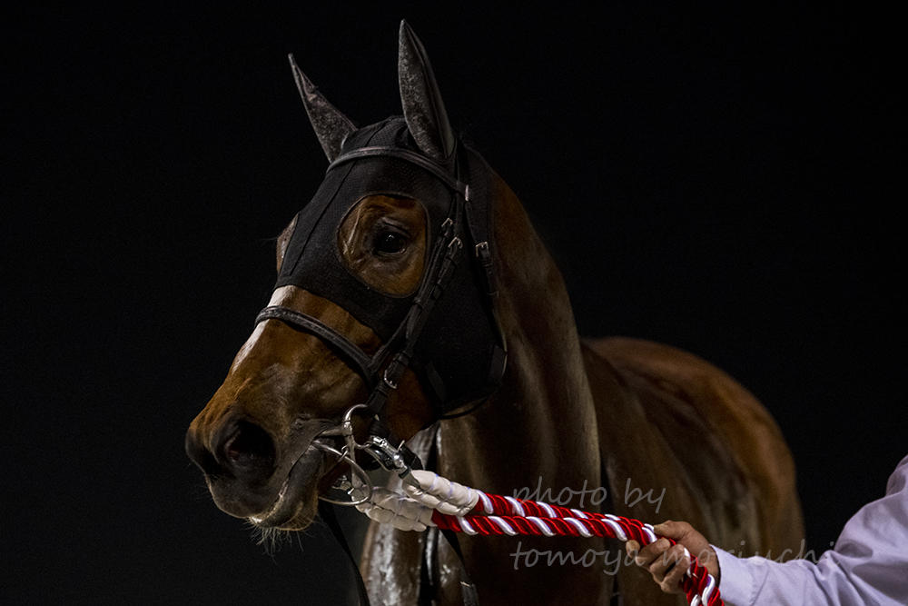 j_taro's tweet photo. Per Aa won Marine Cup(LR)
#AmericanPharoah
#PerAa https://t.co/9XMqj1vduG