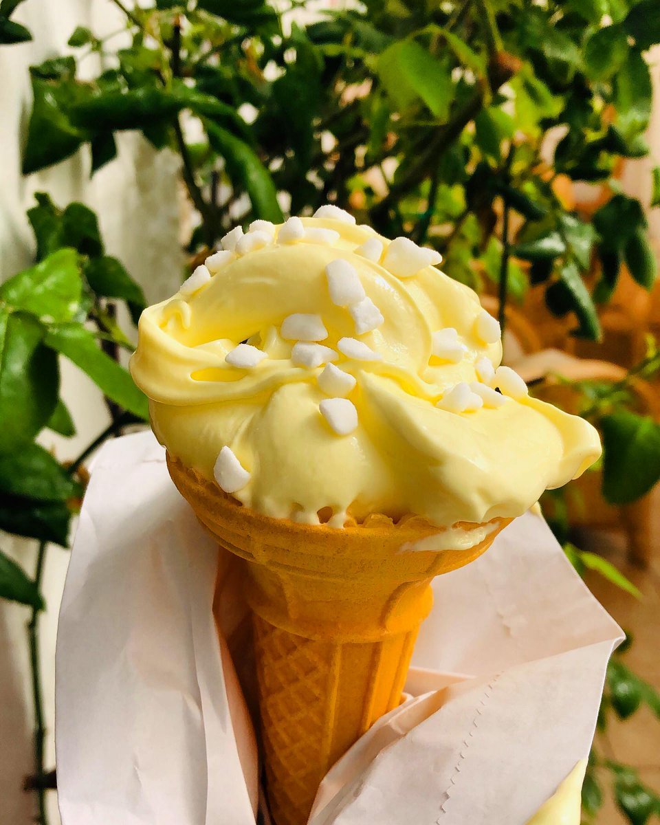 We are open all weekend from 9am! Serving over 70 flavours of award winning ice cream. Feat. Freshly Made Lemon Meringue Ice Cream 😋 (Did you know... All our ice cream is still produced on the original site at Blyton?!) #lincolnshire #icecream #blytonicecream