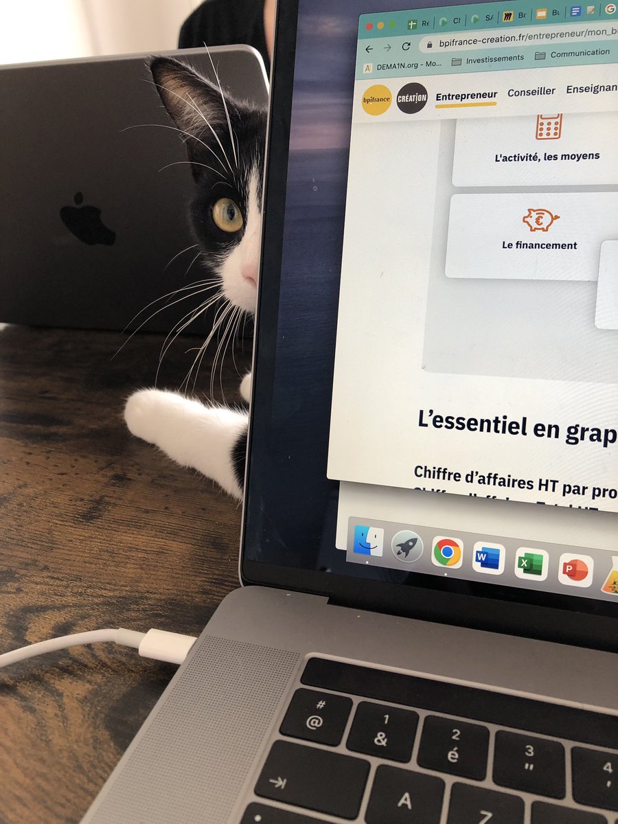 Télétravailling with a view 
El chichi (le cat d’ @AnaelleHt m’a bien à l’œil !) 🥰