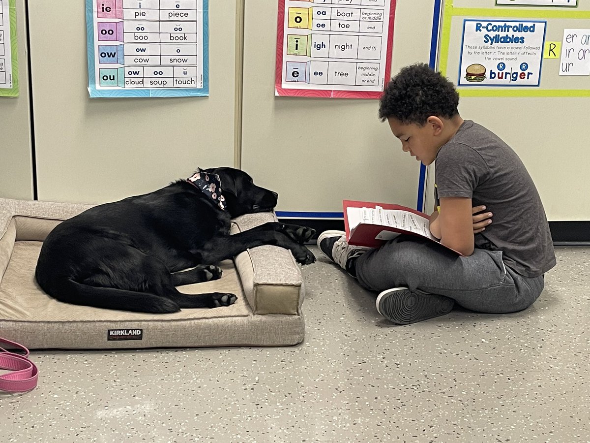 Sarah Bruce tweet media