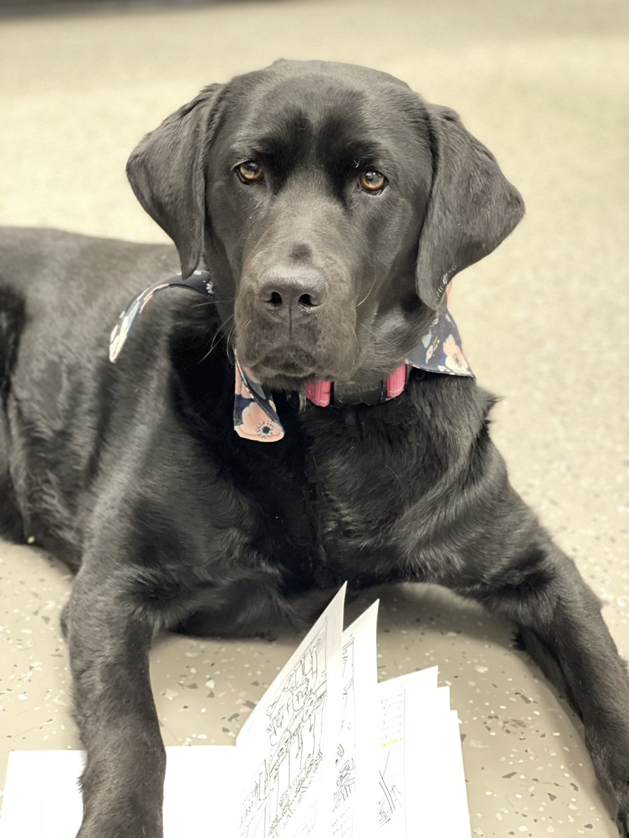 Sarah Bruce tweet media