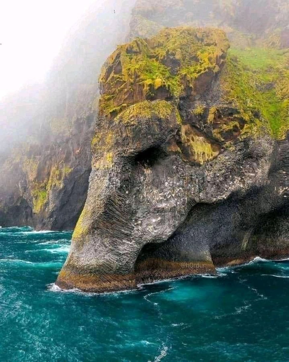 viewsoff's tweet photo. Elephant rock in Iceland https://t.co/mAUso5KVhk