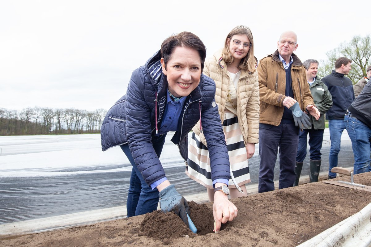 Spargel: regional, gesund, lecker 😍Symbolischer Saisonstart mit Ministerin Silke Gorißen, und unserer Spargelkönigin Svea 💚 Dankeschön an Peter und Julius Heinen für die Gastfreundschaft #spargelstichtalles #spargelliebe <a href="/MLVNRW/">Landwirtschaft und Verbraucherschutz NRW</a>  deutschlandspargel.de/kampagne/