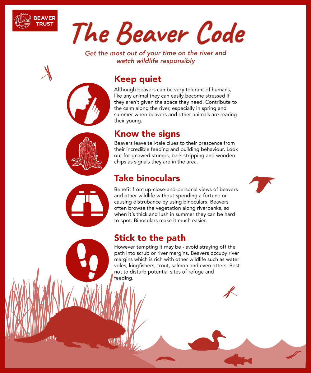 The beaver code.

With the evenings getting lighter you might be able to catch a glimpse of your local #beaver family but please remember they are sensitive wild animals.

Follow our top tips to get the most out of your time and watch wildlife responsibly.