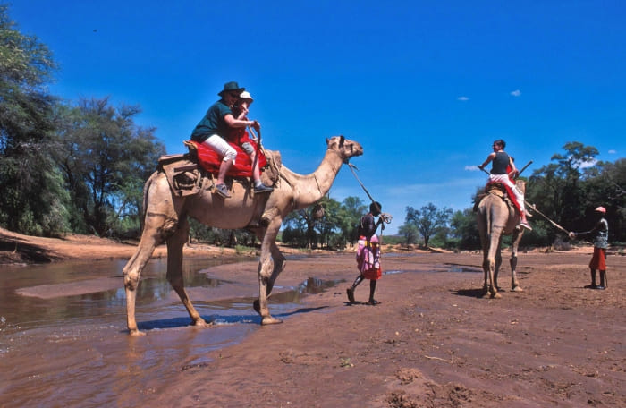Explore Kenya's Northern Wilderness on a camelback, a fun-filled alternative to the traditional game viewing experience 📷📷
.
.
#travelwithpeafowltours
#cameltrekking
#camelride #samburu
#samburunationalreserve
#safariexperience