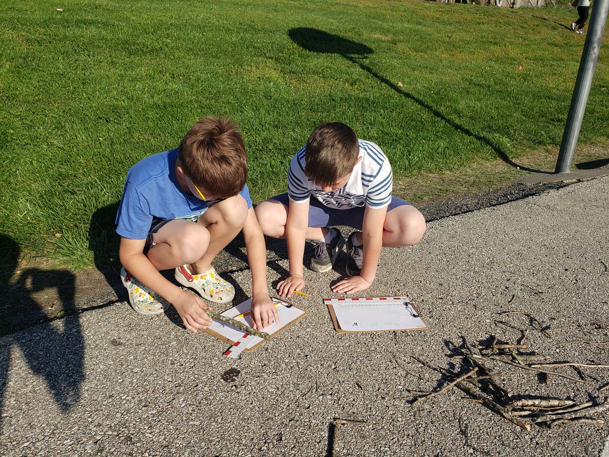 Belair_Library's tweet photo. It was a win win for math today! We had fun measuring the length of twigs and recording our data on a line plot AND we got to enjoy the beautiful weather in our outdoor classroom! #jcwestelem #JCSchoolsChampions #wearejcschools #westwildcats https://t.co/but7YGtTw5