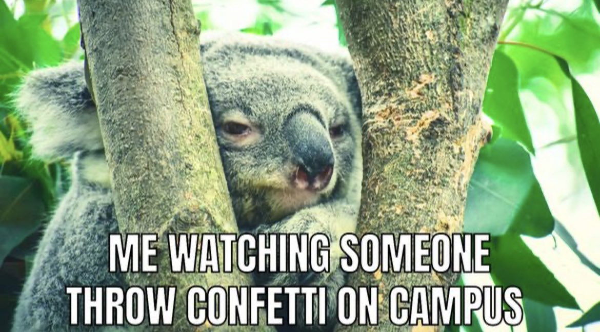 Don’t throw confetti on ECU’s campus 🐨

#knowbeforeyouthrow #noconfettiecu