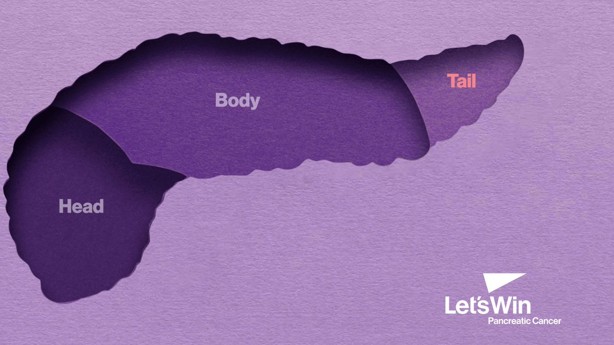 Let's Win Pancreatic Cancer 💜 tweet media