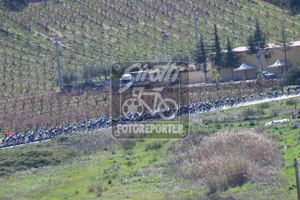 FotoreporterSirotti tweet media