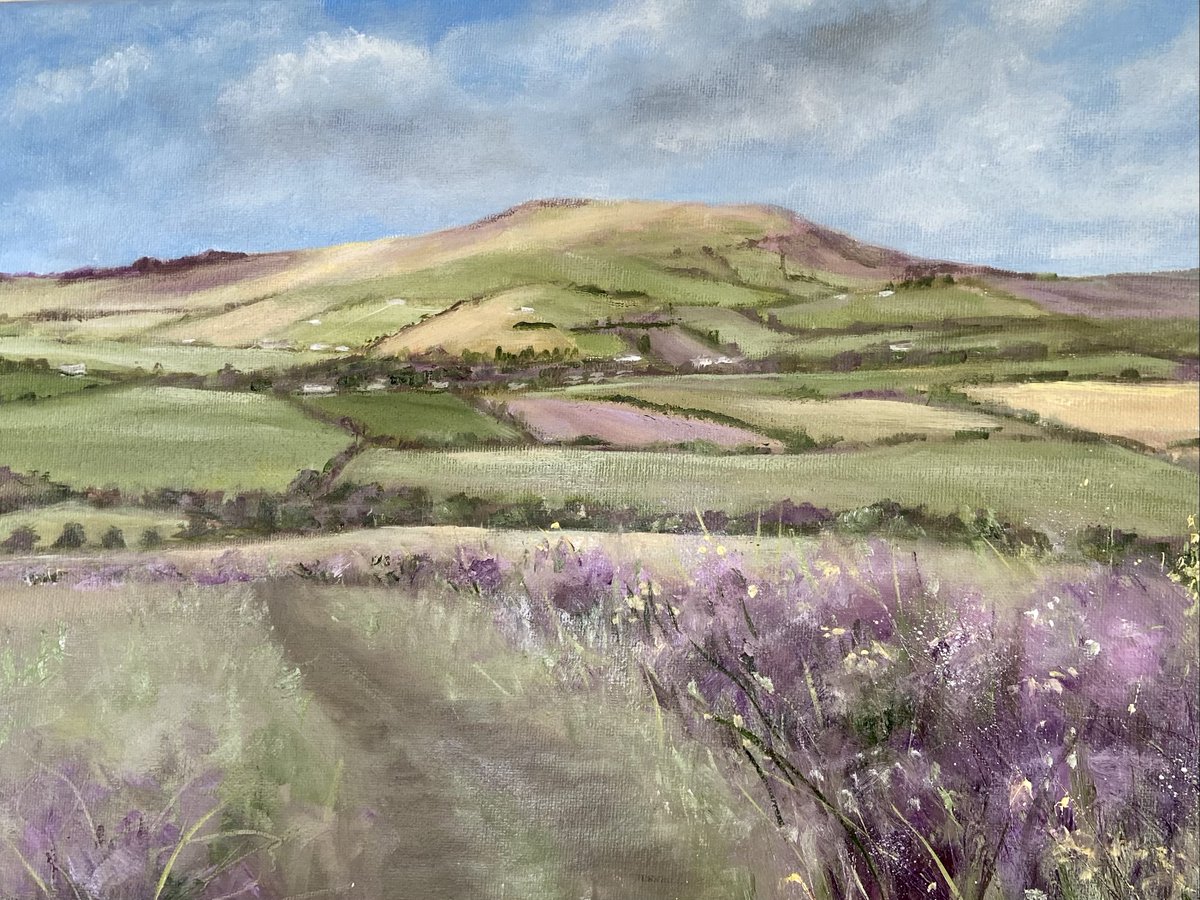MariaDowling3's tweet photo. Across the Fields to Annagh. oil on canvas available in the Gaslamp Gallery, Gorey.   https://t.co/Lv94kRShZ1 https://t.co/35wjbyGSuu