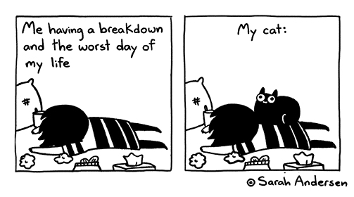 Sarah Andersen (@sarahcandersen) on Twitter photo 