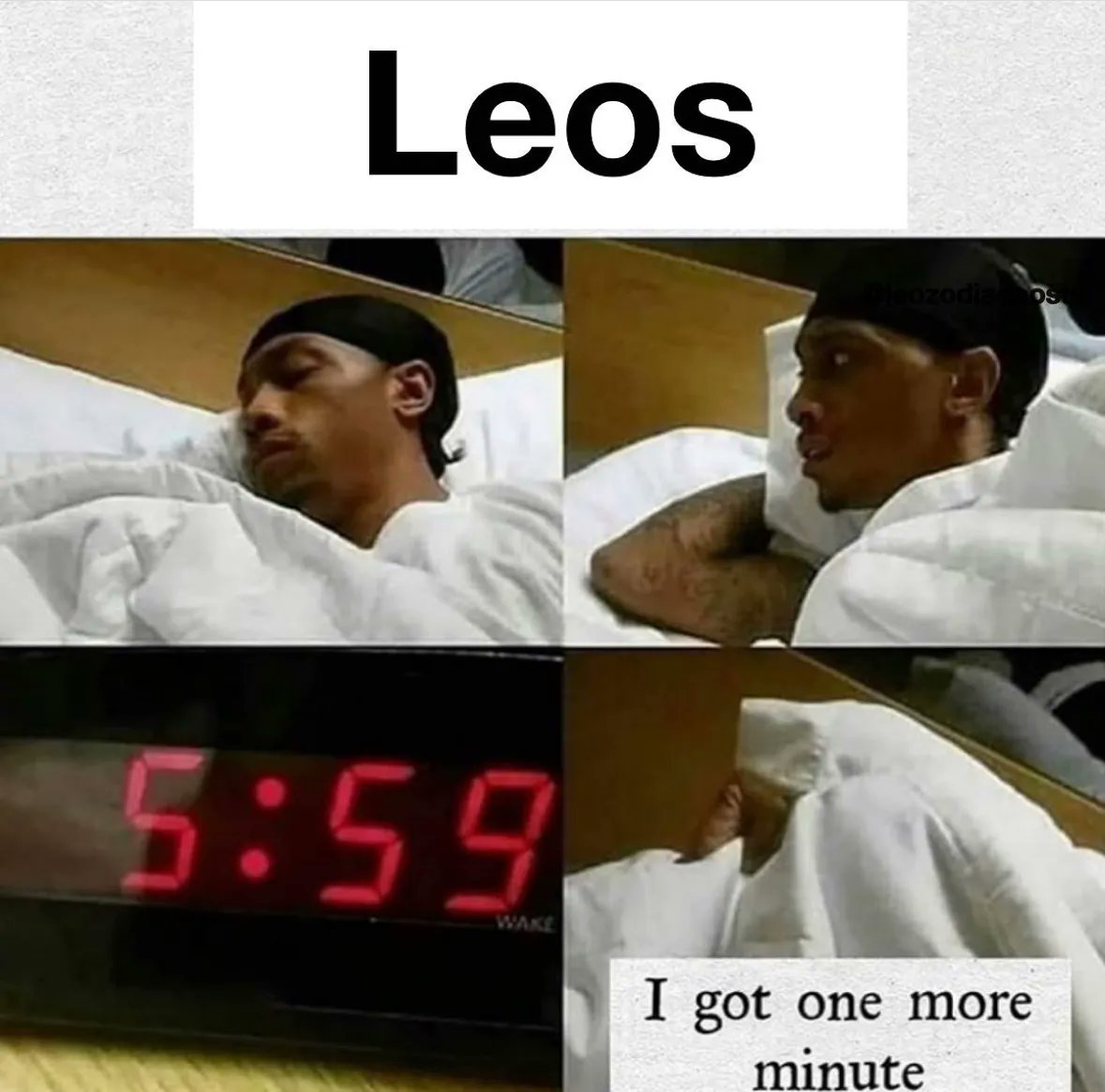 Leo_Tweets's tweet photo. #Leo every morning 👏🏼 https://t.co/PuRCsiRJGv