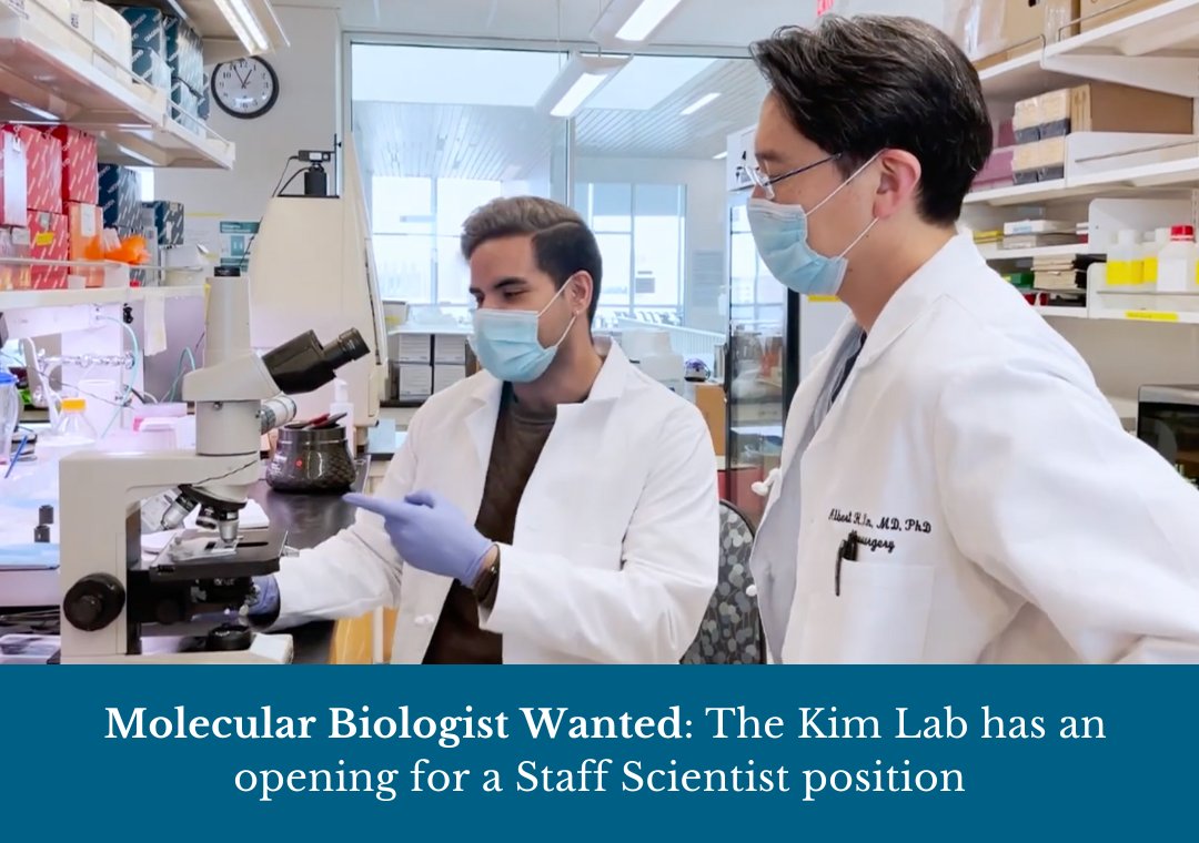 WashU Med Taylor Family Department of Neurosurgery (@washuneurosurg) on Twitter photo The Lab of Albert H. Kim, MD, PhD, (<a href="/AlbertHKimMDPhD/">Albert H. Kim</a>) has an opening for a Staff Scientist. The lab seeks a molecular biologist to develop and conduct research projects. Coding in R a plus. For more details and to apply, click here.:bit.ly/41hXc4u The Lab of Albert H. Kim, MD, PhD, (<a href="/AlbertHKimMDPhD/">Albert H. Kim</a>) has an opening for a Staff Scientist. The lab seeks a molecular biologist to develop and conduct research projects. Coding in R a plus. For more details and to apply, click here.:bit.ly/41hXc4u
