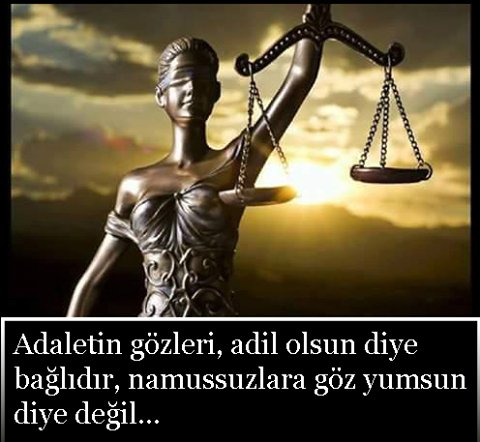 TayipOzberkman tweet picture
