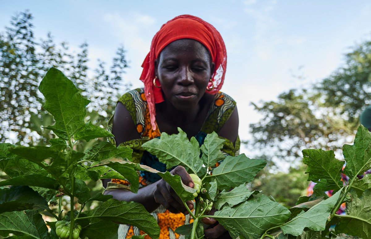 Planting trees:
💪 Empowers women
💚 Unites communities
🌱 Creates livelihoods
🍋 Provides food stability
🌳 Creates hope