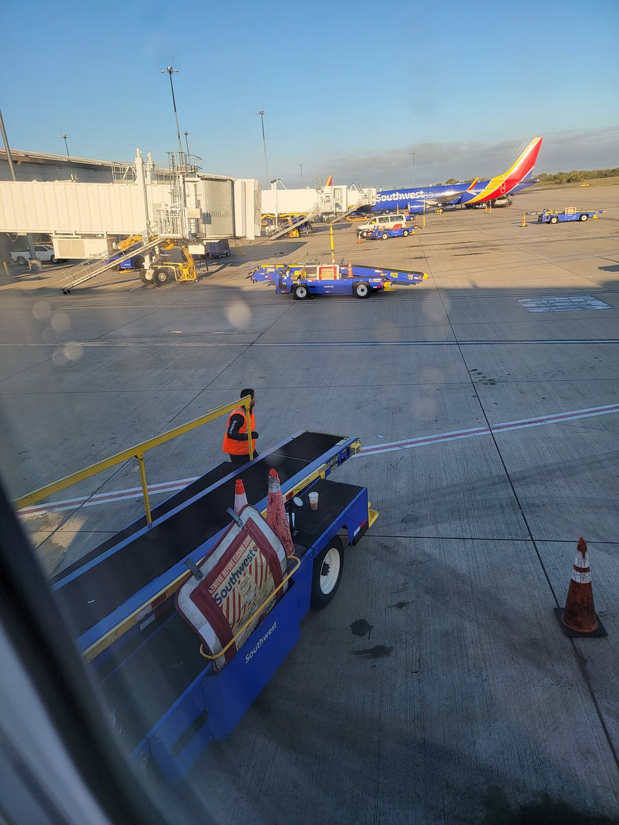 lanihuli's tweet photo. Aloha sac!! Chasing that sunshine!  #MerrieMonarch here we go!!!  #imua https://t.co/xdPsapYQwP