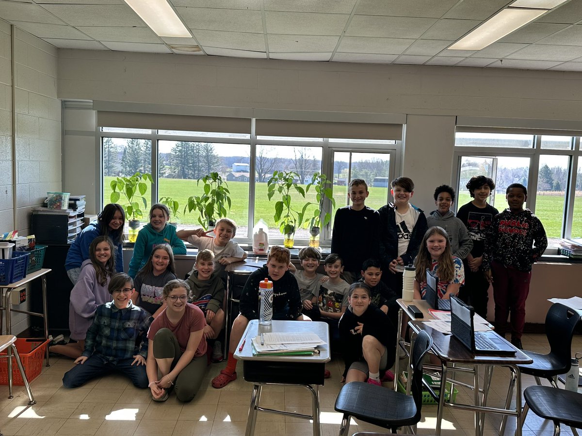 Mr. Miller’s class plants from the photosynthesis  and ecosystem unit are really growing! <a href="/CCCSDtweets/">Churchville-Chili Central School District</a>
