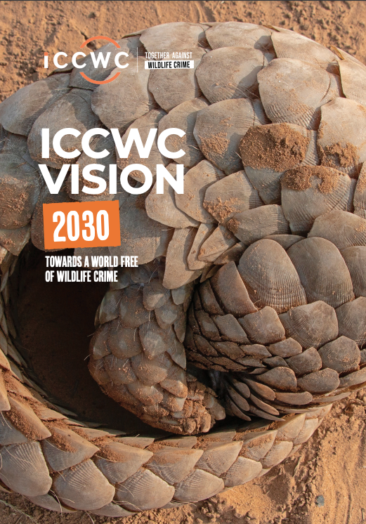 Vision 2030 outlines how #ICCWC will work towards a world free of wildlife crime by 2030, following a theory of change designed to support and strengthen wildlife authorities, police, customs &amp; criminal justice systems.

💫 bit.ly/3AyIM57

#TogetherAgainstWildlifeCrime
