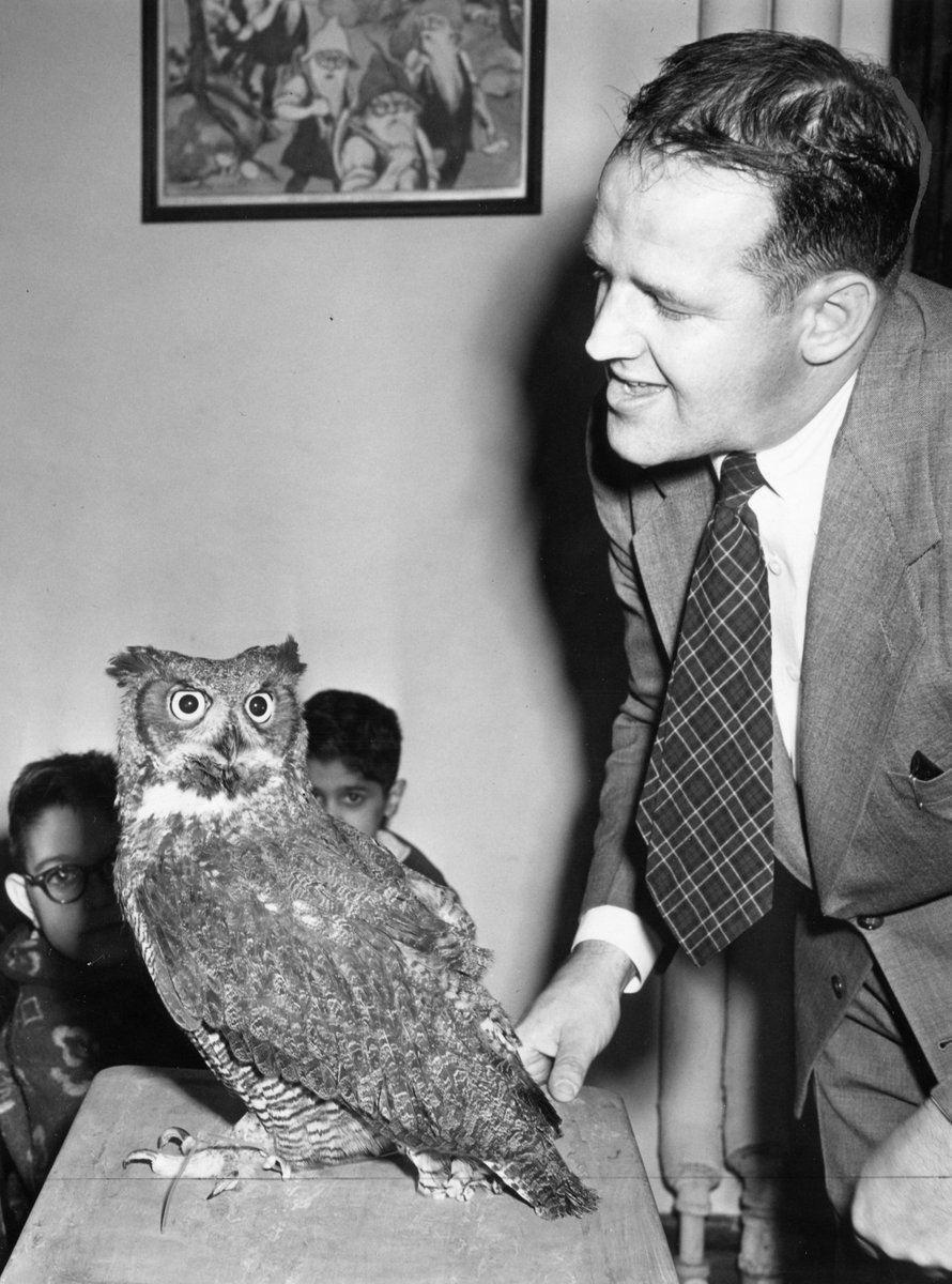 BCHArchives's tweet photo. What a hoot! Gilbert Merrill of the @museumofscience brings along a special guest to visit @BostonChildrens patients at the House of Good Samaritan in November 1952 🦉#ArchivesfortheBirds #ArchivesHashtagParty @USNatArchives https://t.co/x2DB7aImzH