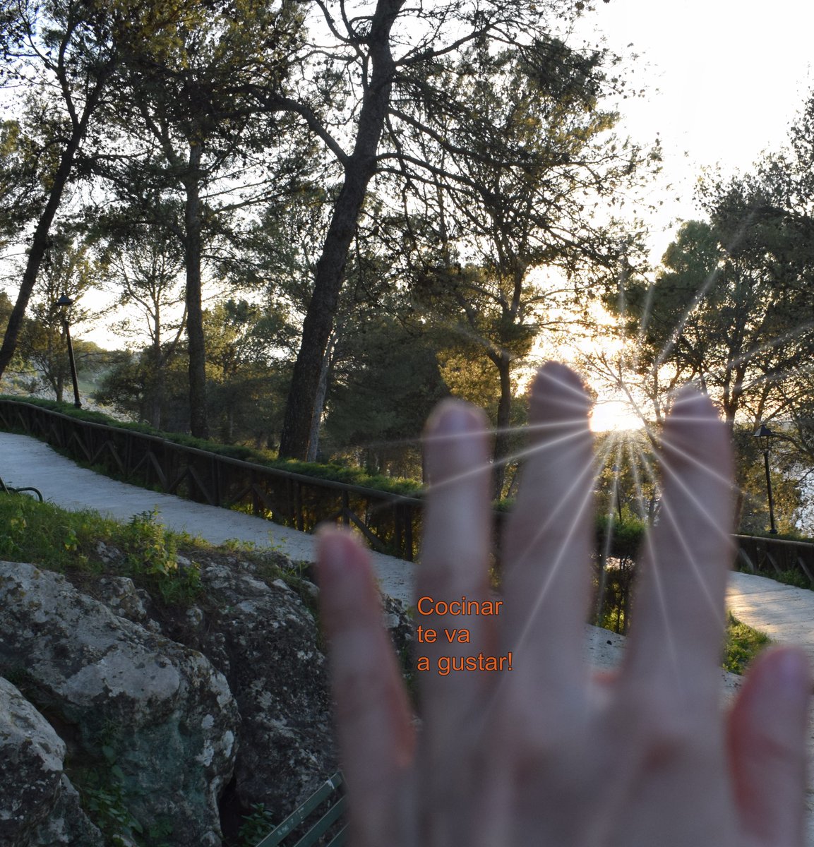 Cocinar te va a gustar! tweet media