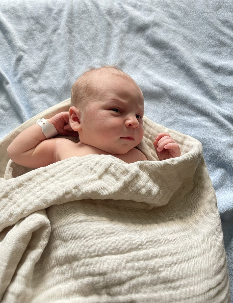 BorasLegend tweet media