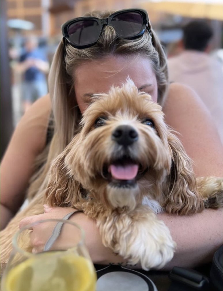 Collabera tweet media