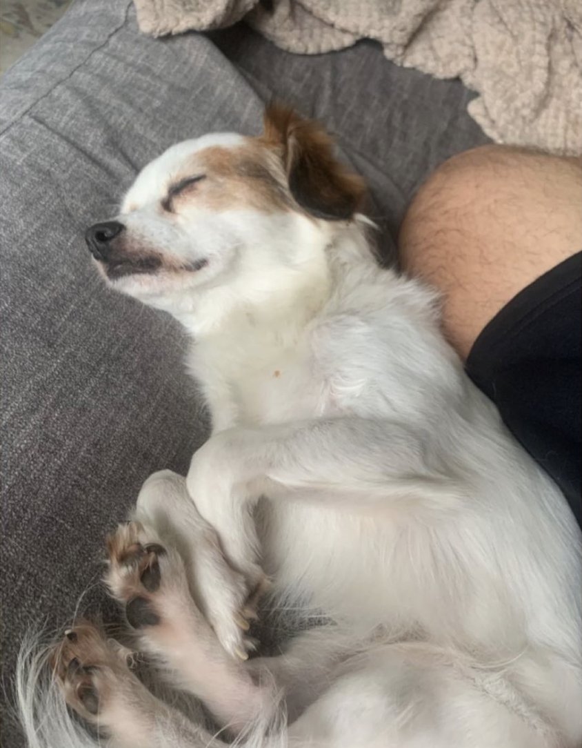 Collabera tweet media